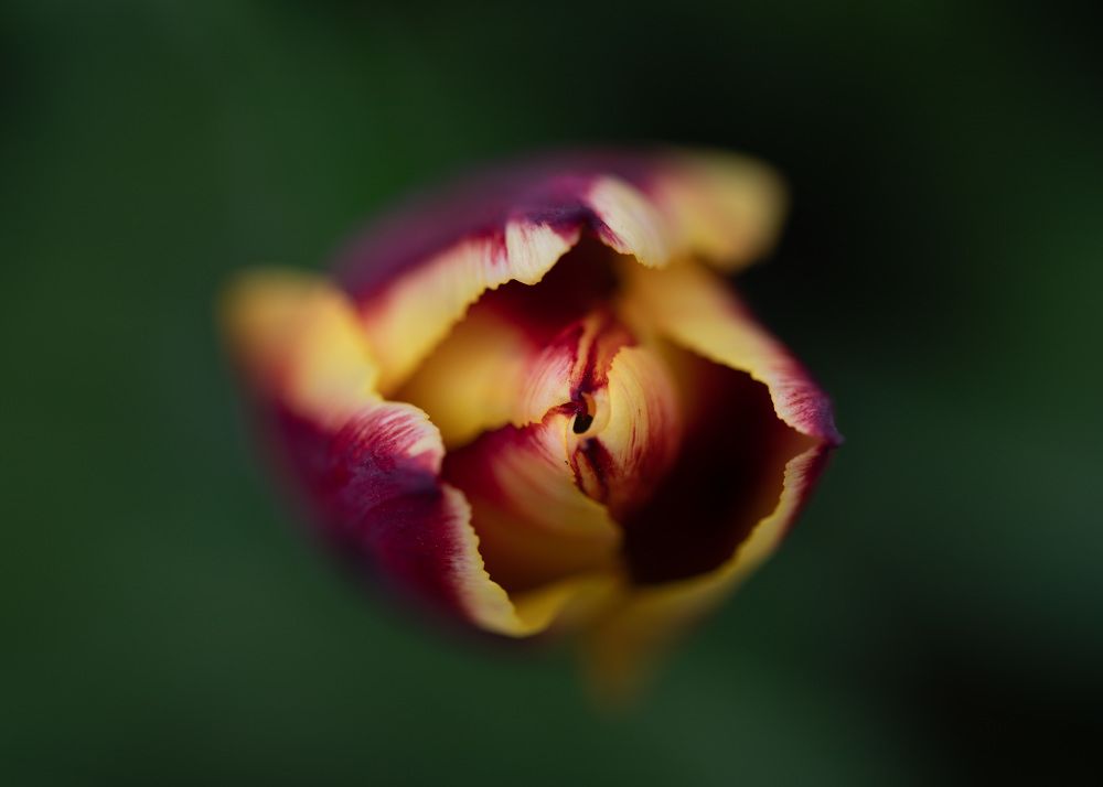 Photograph by Евгения Журавлева