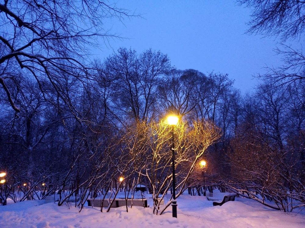 Фотография автора Ольга Малкова