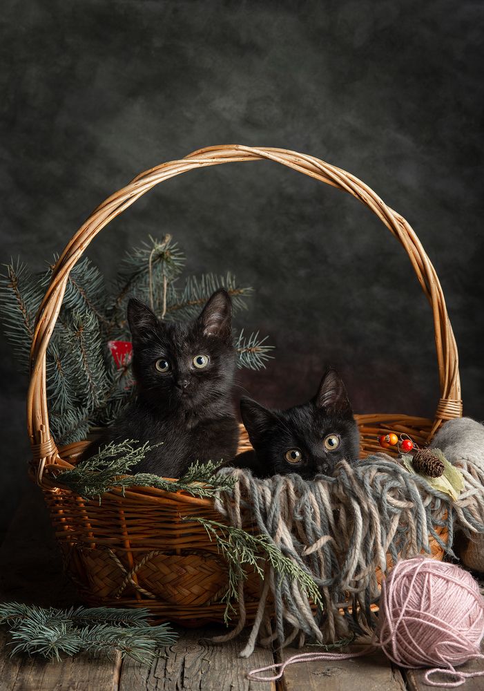 Photograph by fashionfoodfoto