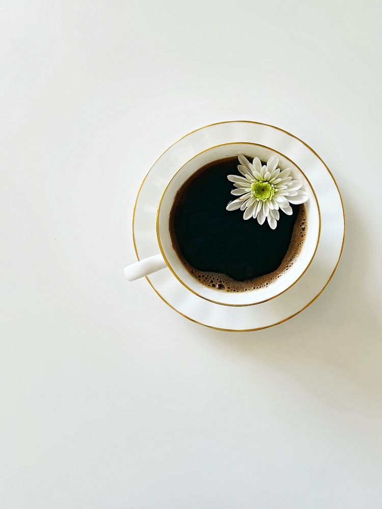 Фотография автора Oxana Yurasova