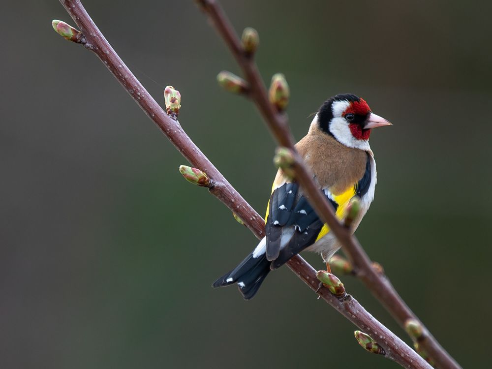Photograph by Евгения Журавлева