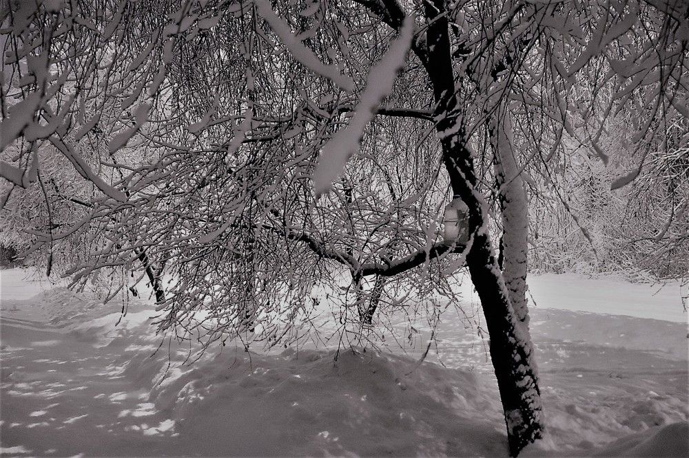 Photograph by Федоренко Элеонора