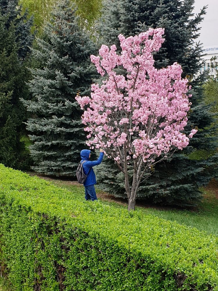 Photograph by Елена Ушакова