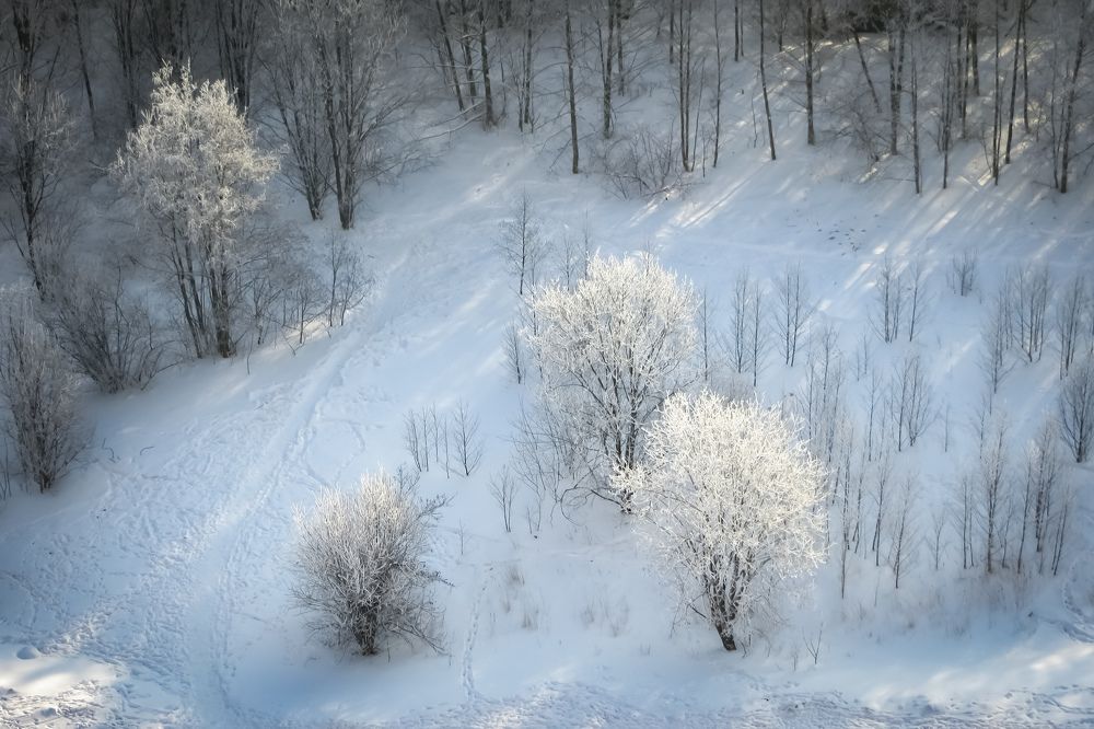 Photograph by Дарья Вега