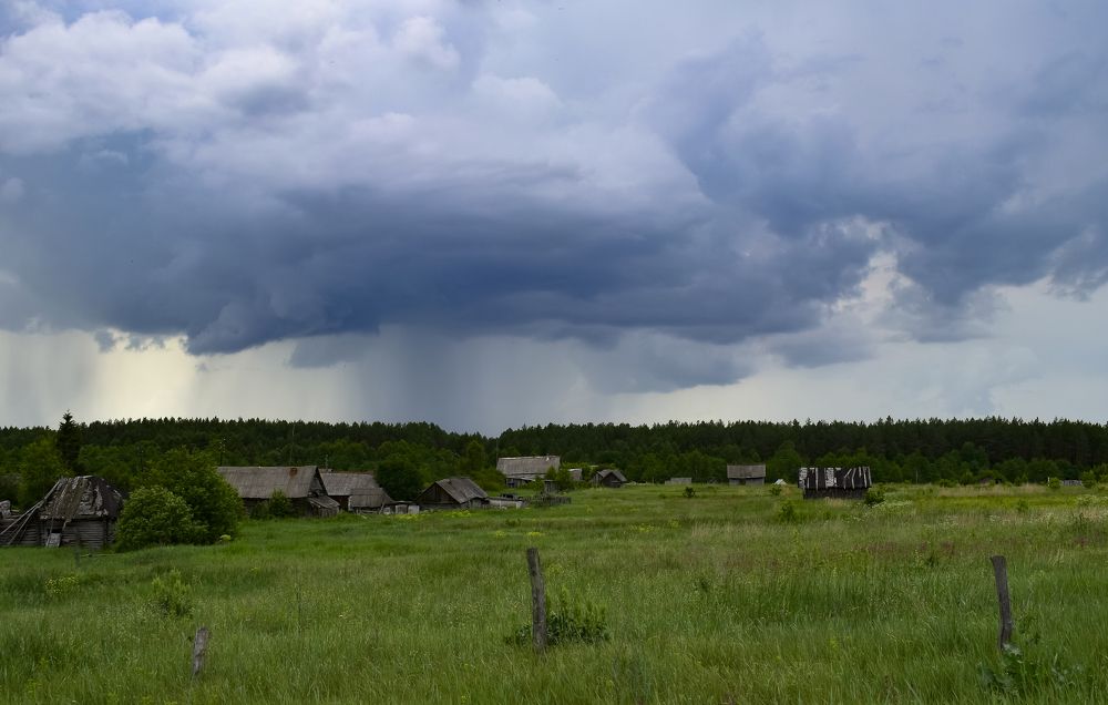 Теплы летние дожди.