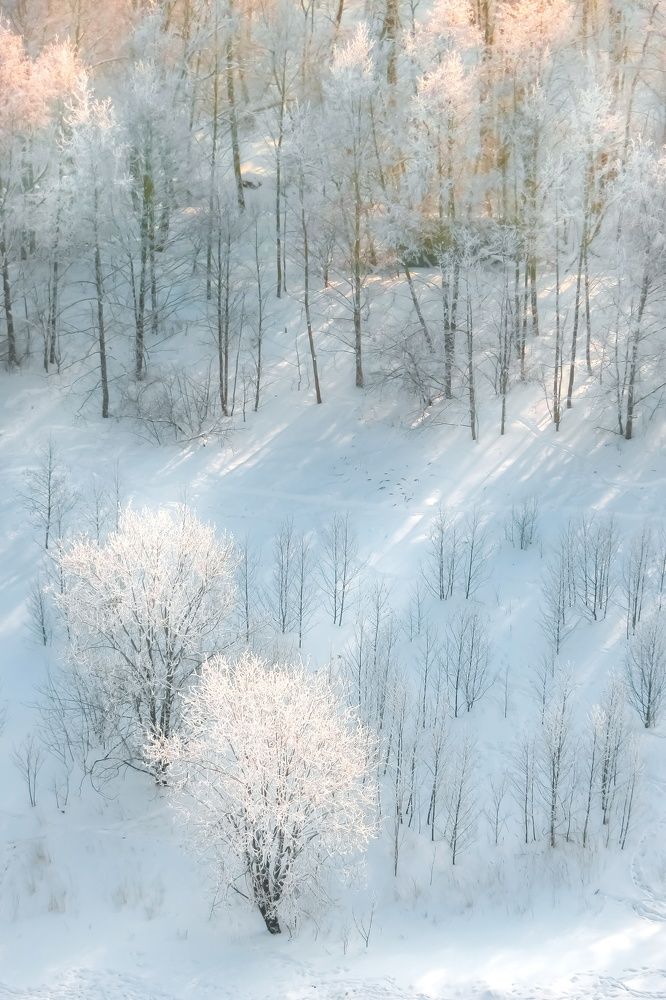 Photograph by Darya Вега