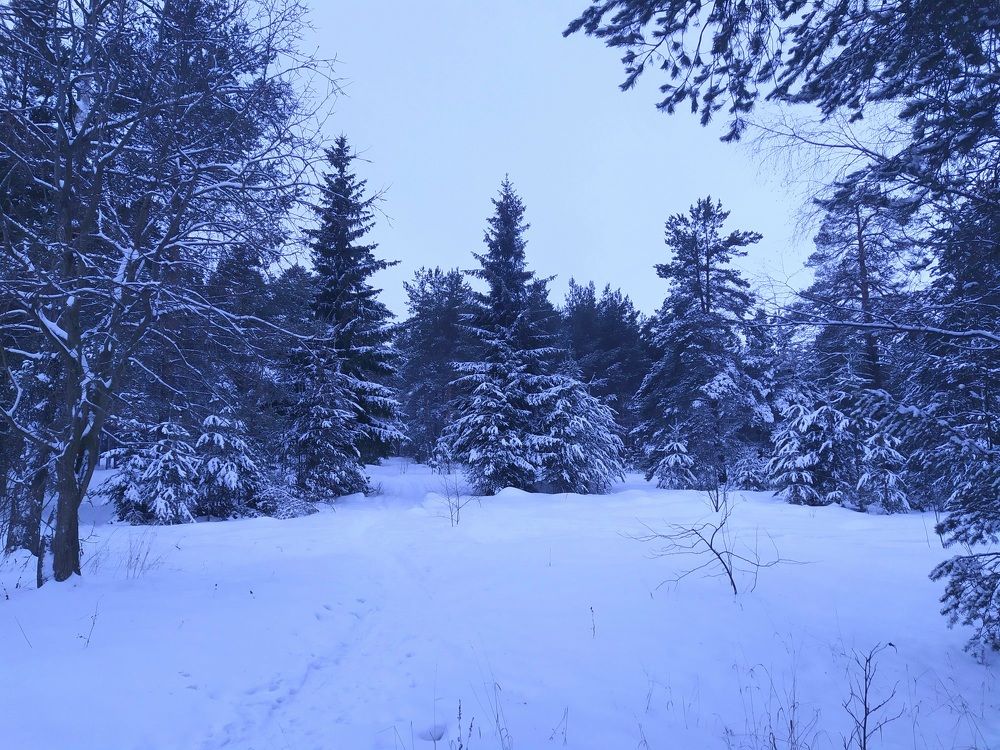 Photograph by Галина Буланова