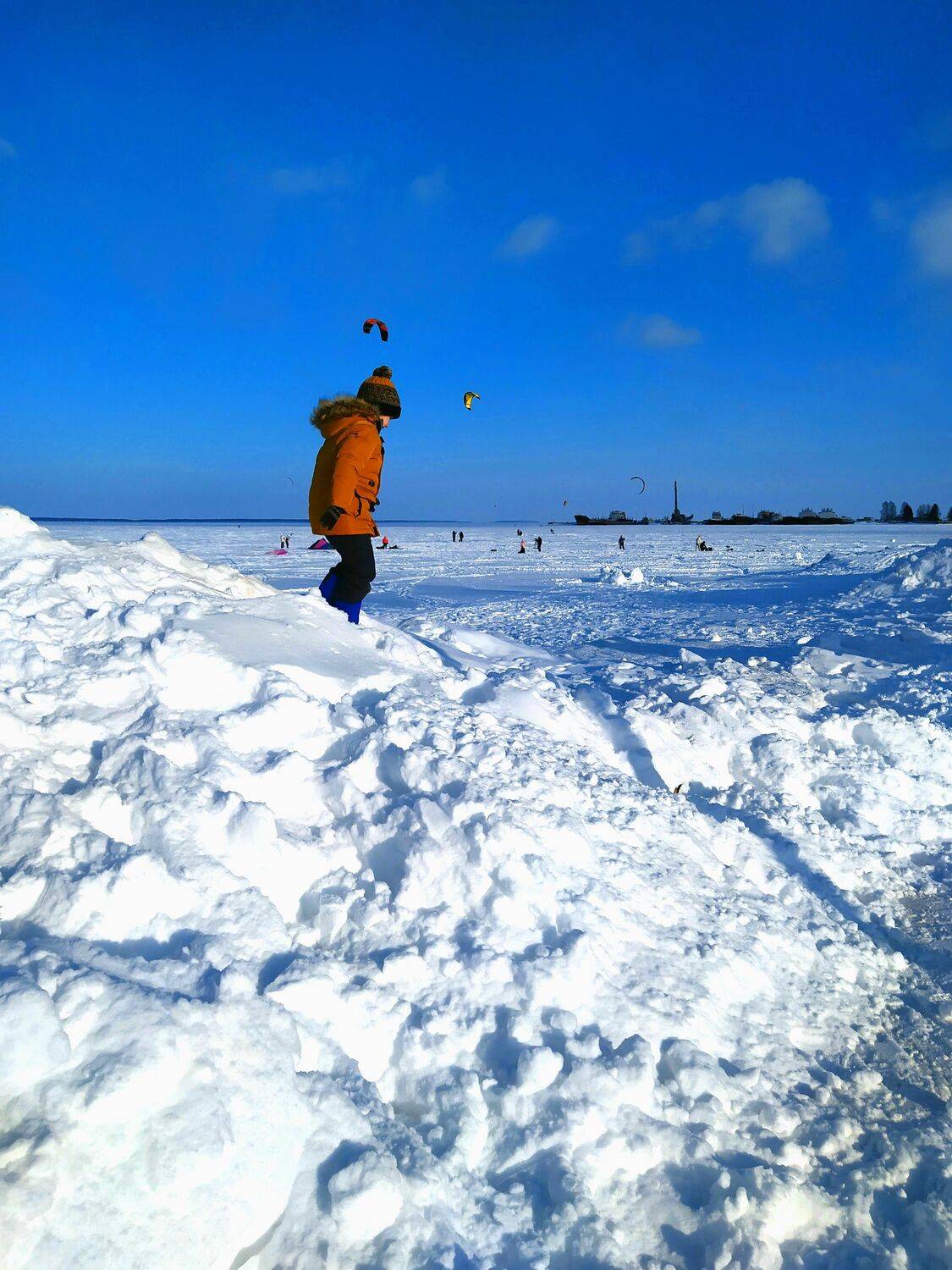 Photo #7154460