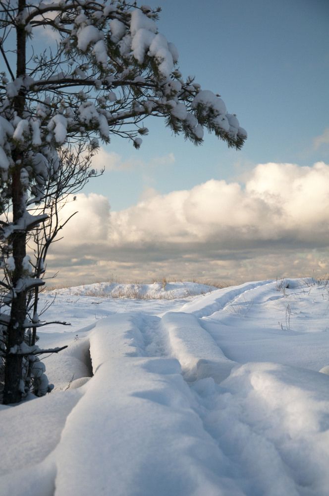 Photograph by Līga Sondare
