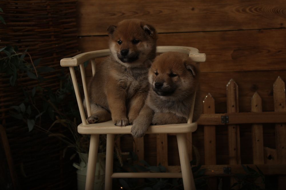 Photograph by София Орлова