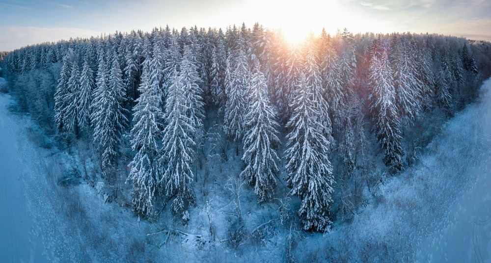 Photograph by Roman Dmitriev