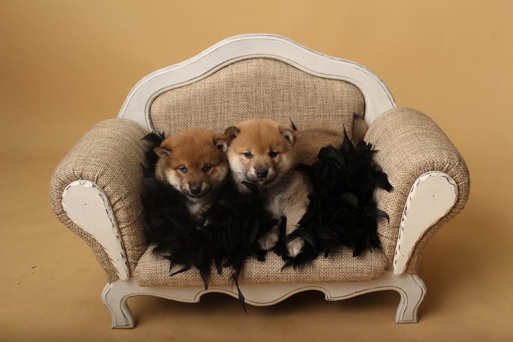 Photograph by София Орлова