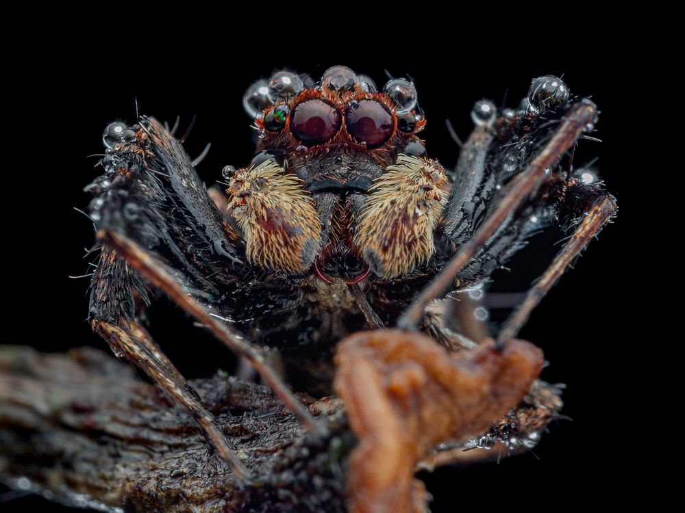 Photograph by Alstein Lai