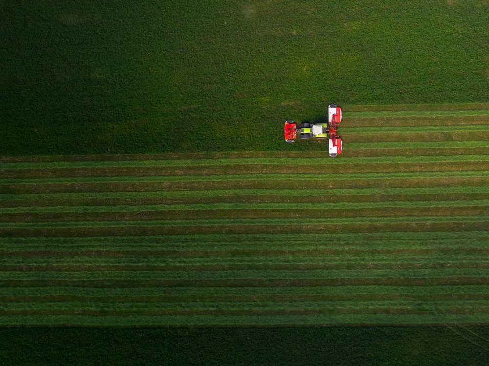 Photograph by Руслан Кабиров