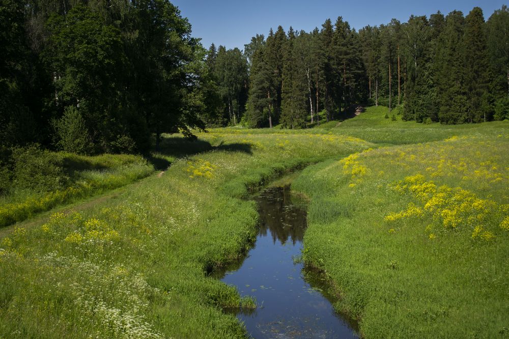 Photograph by Анастасия Хомутова
