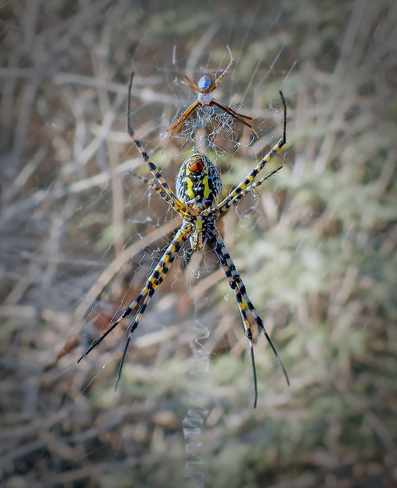 Photograph by Михаил Заброцкий