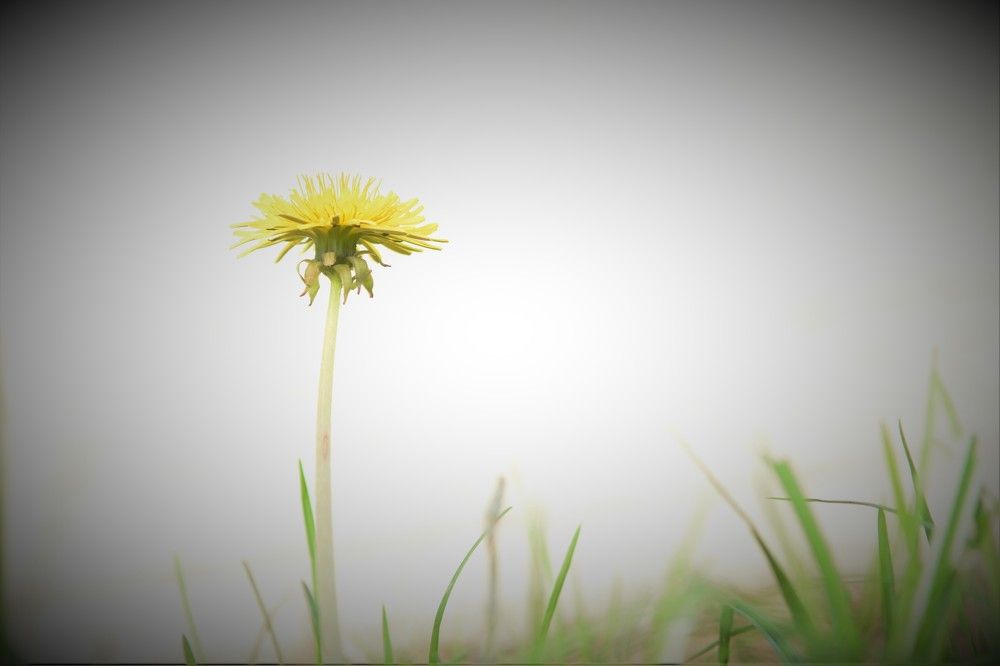 Photograph by Ilze Onzule