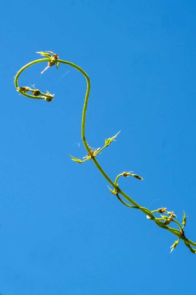 Photograph by Ilze Onzule