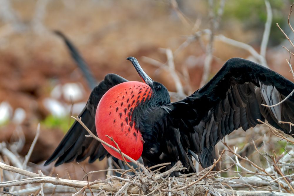 Photograph by Илья Труханов