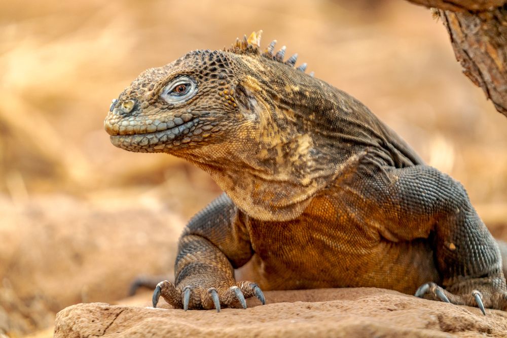 Photograph by Илья Труханов