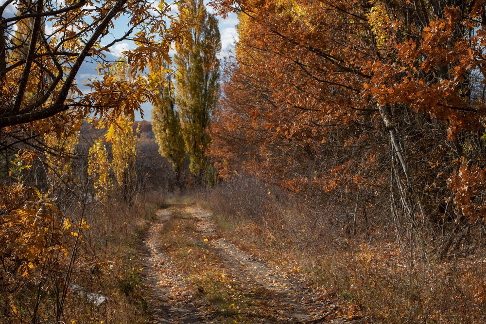 Photograph by Надежда Ржевская
