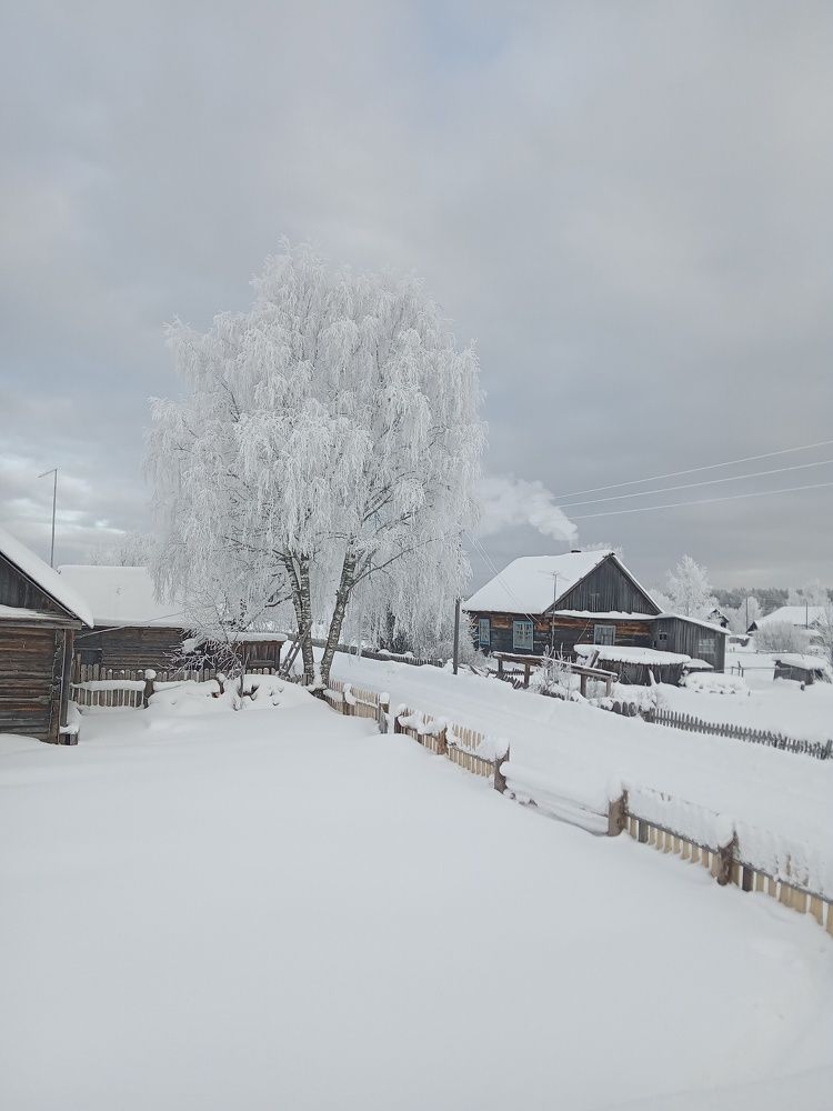 Фотография автора Сергей Минин