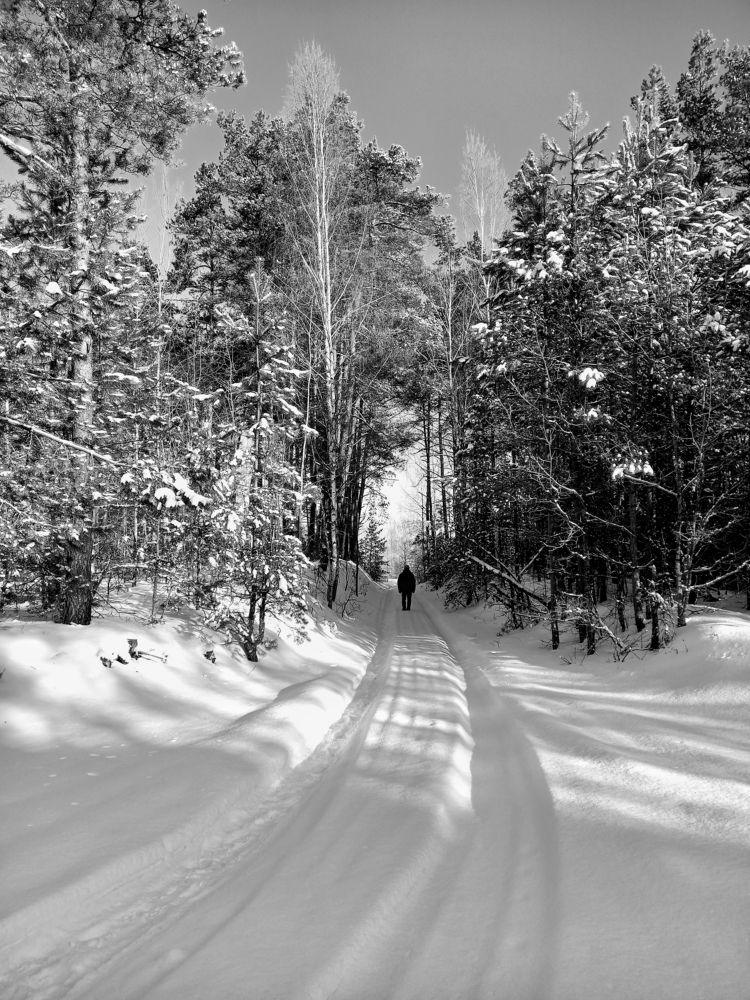 Photograph by Svetlana Yurasova