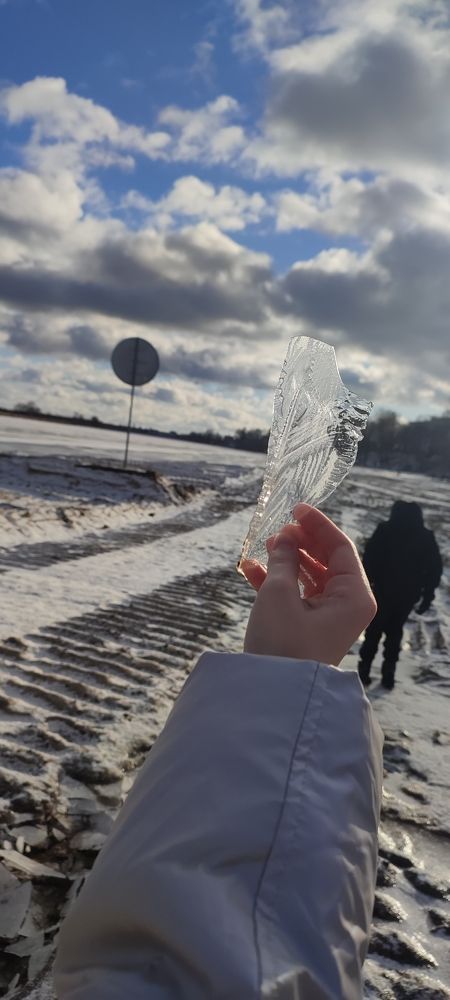 Photograph by Дарья Шепелевич