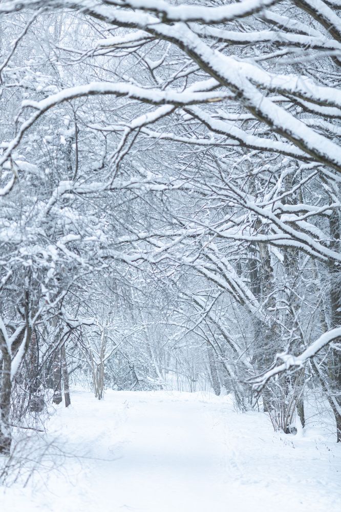 Photograph by Наталья Угрюмова