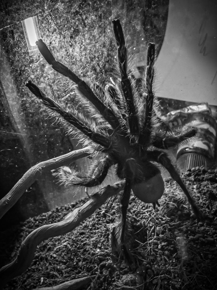 Photograph by Марина Хавронина