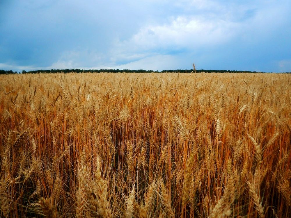 Photograph by Анна Репина