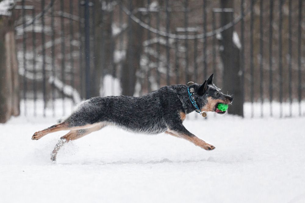 Photograph by Татьяна Степанова
