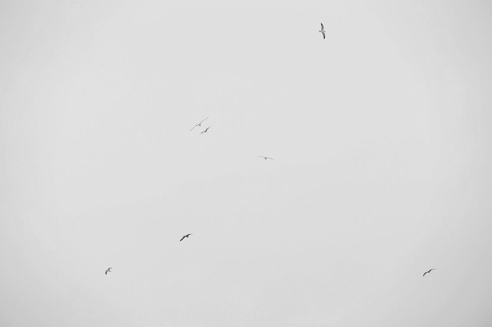 Photograph by Мария Kокоревич