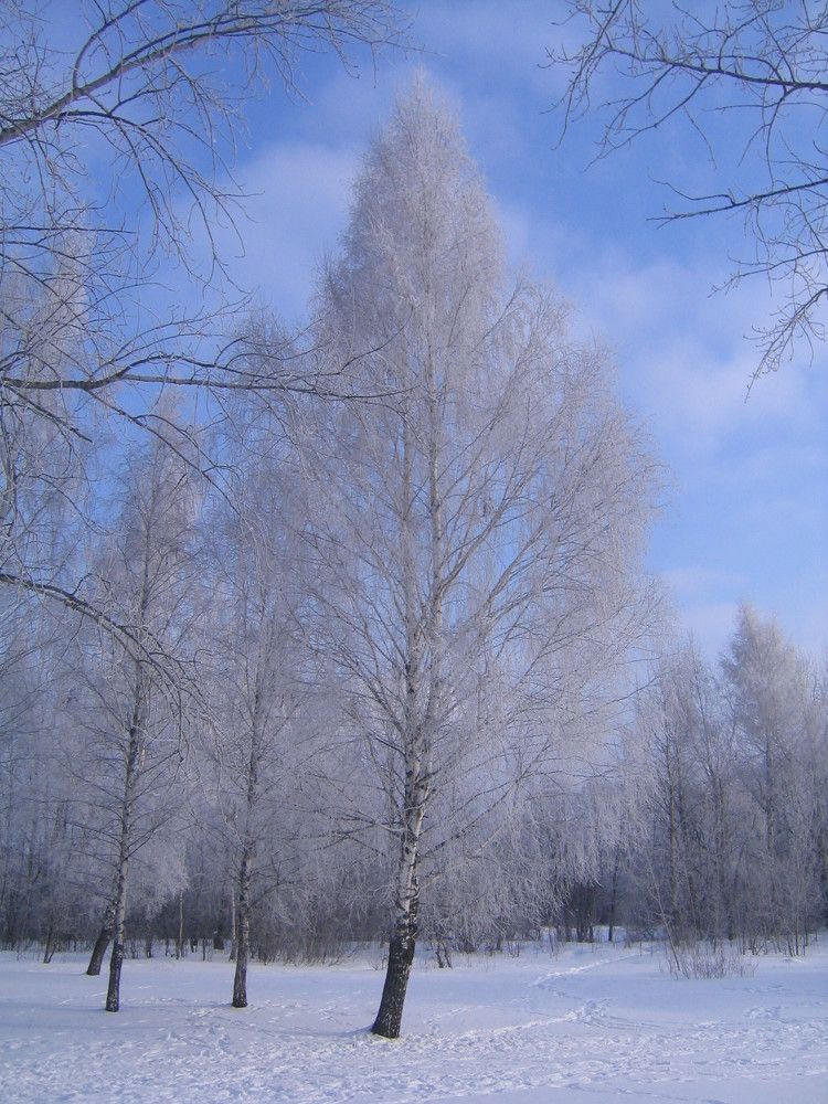 Photograph by Оксана Бутрим