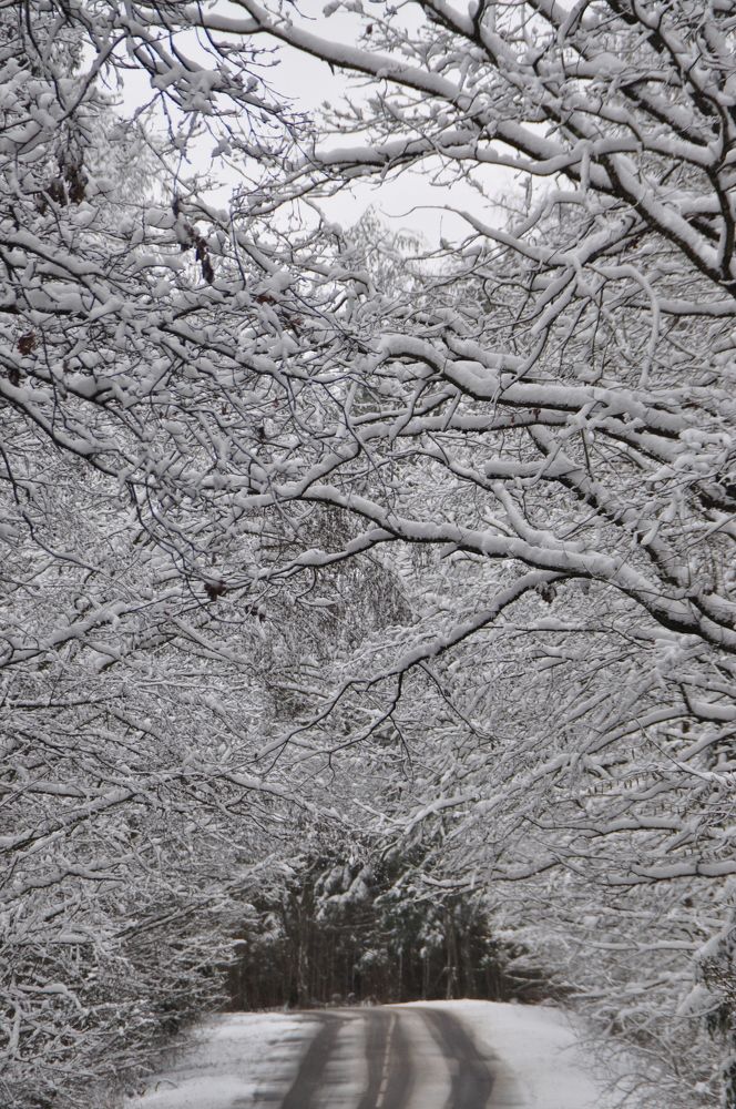 Photograph by Оксана Бутрим