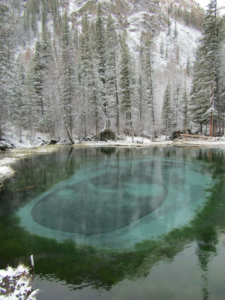 Photograph by Андреева Светлана