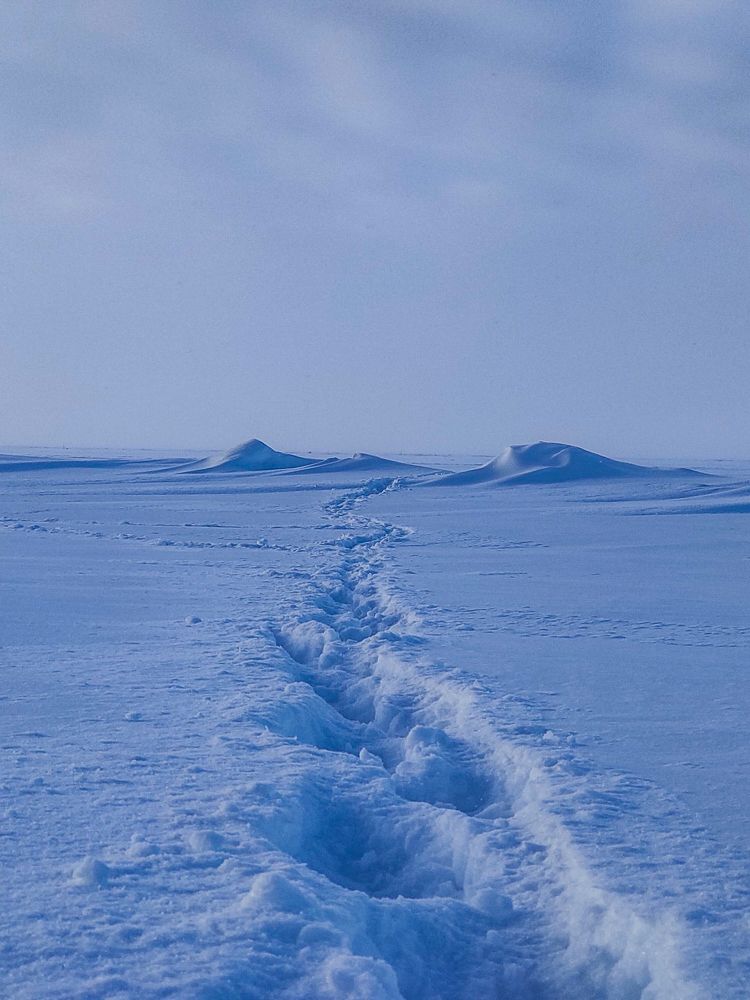 Photograph by Александр