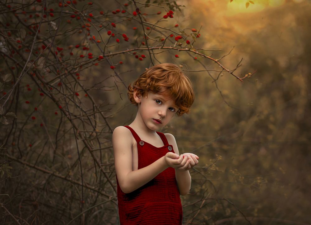 Ginger boy picking berries