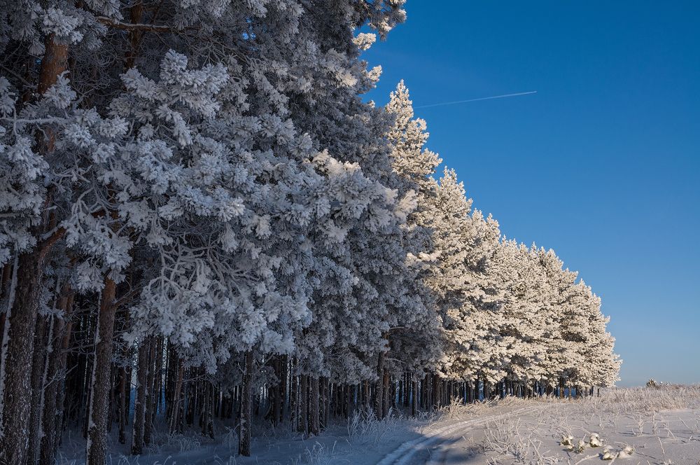 Photograph by Дмитрий Леванов