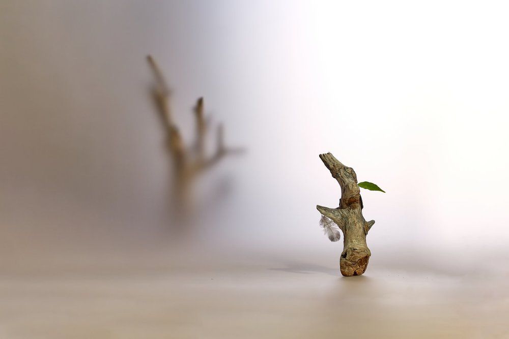 Photograph by Владимир