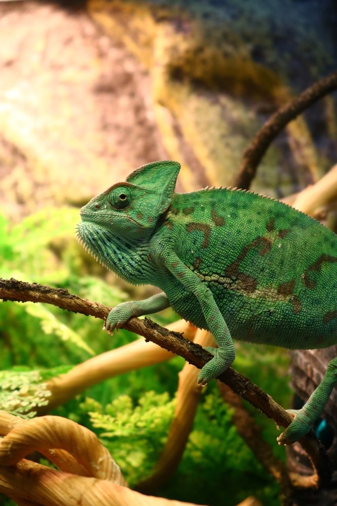 Photograph by Светлана Шуткова