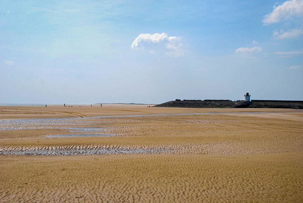 Photograph by Владимир Гречанинов