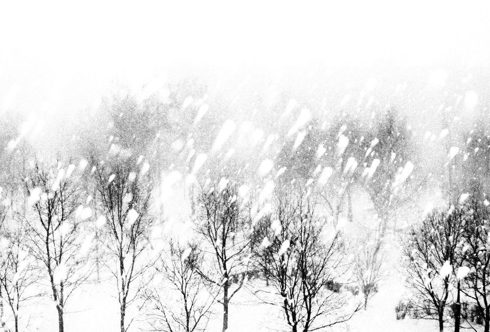 Photograph by Владимир Гречанинов