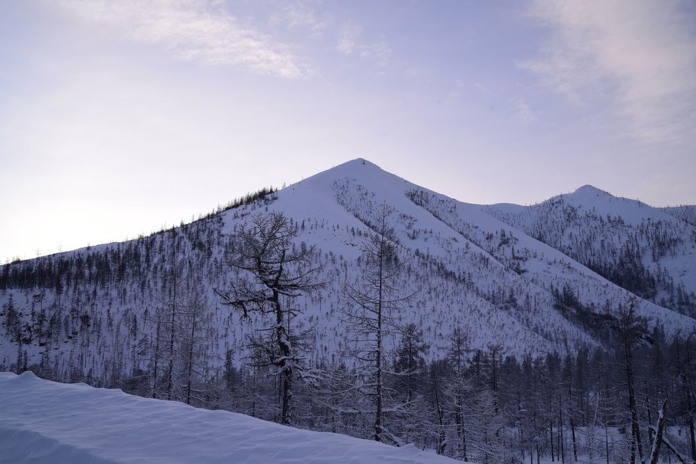 Photograph by Марина Калинина