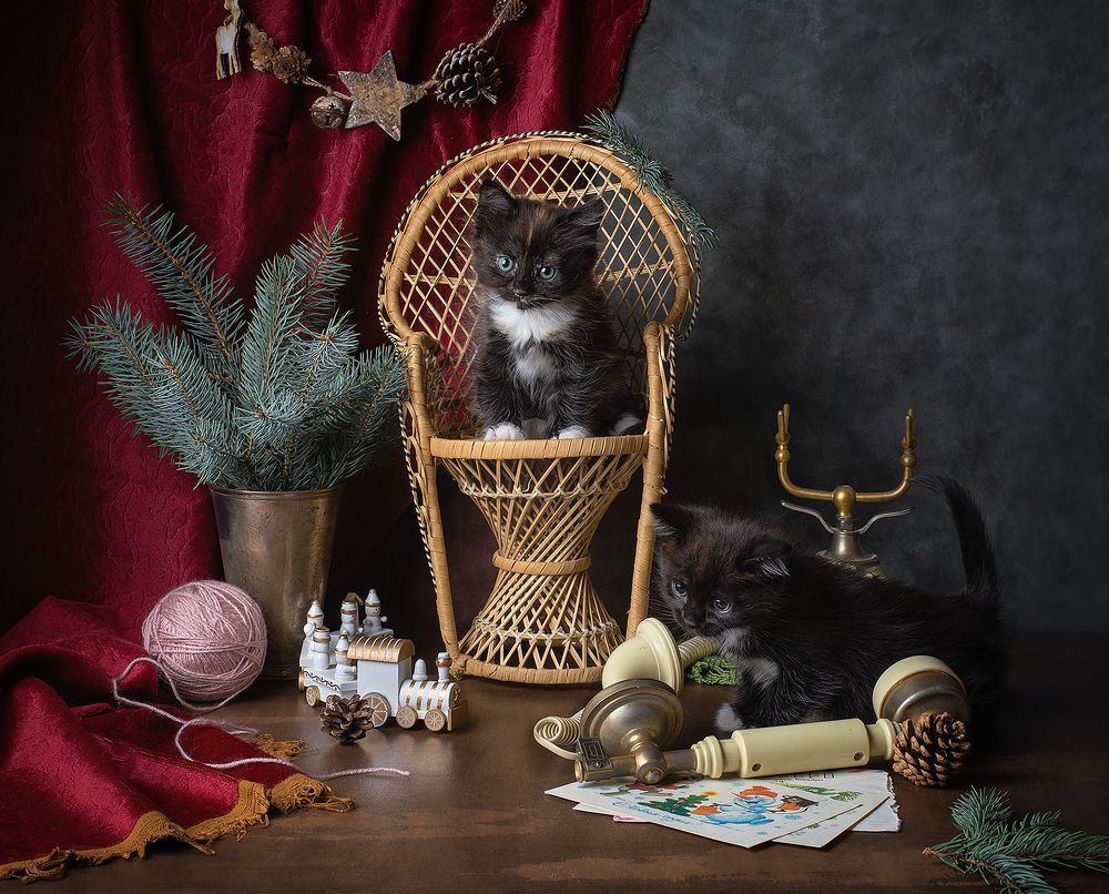 Photograph by fashionfoodfoto