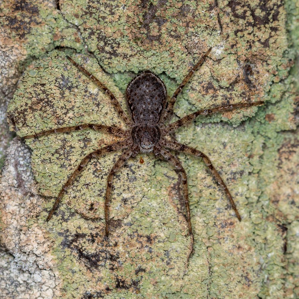 Photograph by Дина Нестеркова