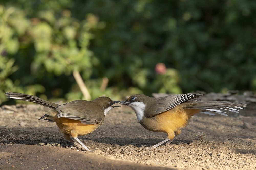 Photograph by Preet saluja