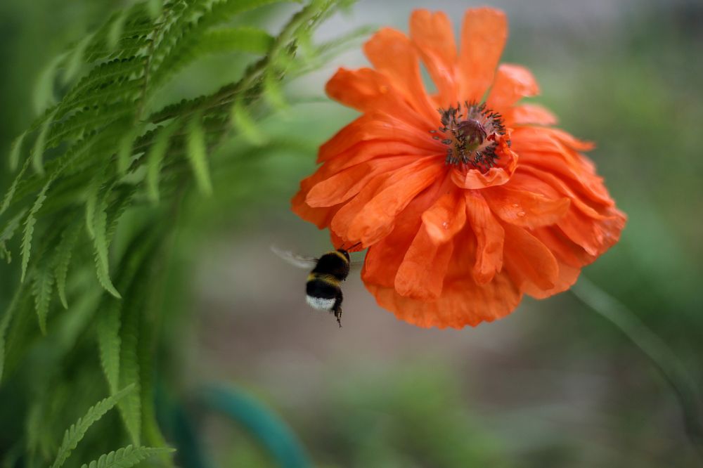 Городские ароматы.