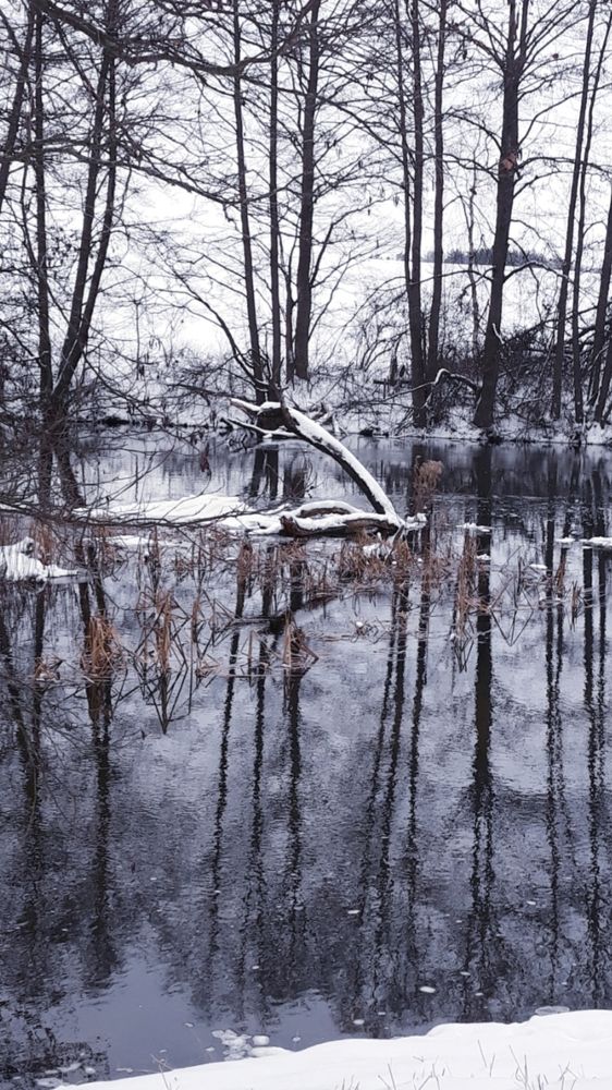 Photograph by Глушакова Татьяна Николаевна