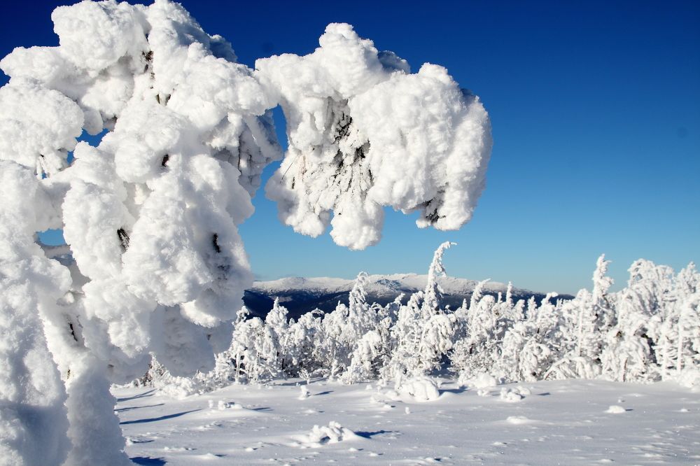 Photograph by Алексей Путилов